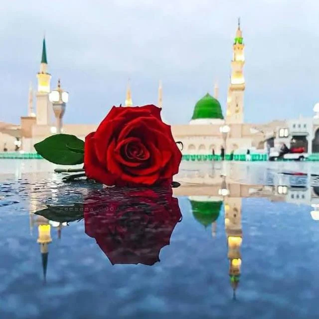 ❤KIDS🕋MADANI🕋CHANNEL❤